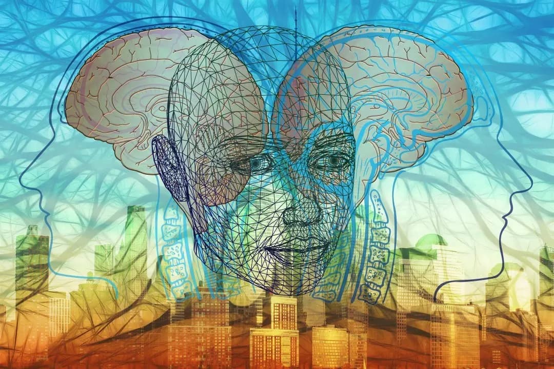 Adaptation with 3D: Experiencing the Evolution